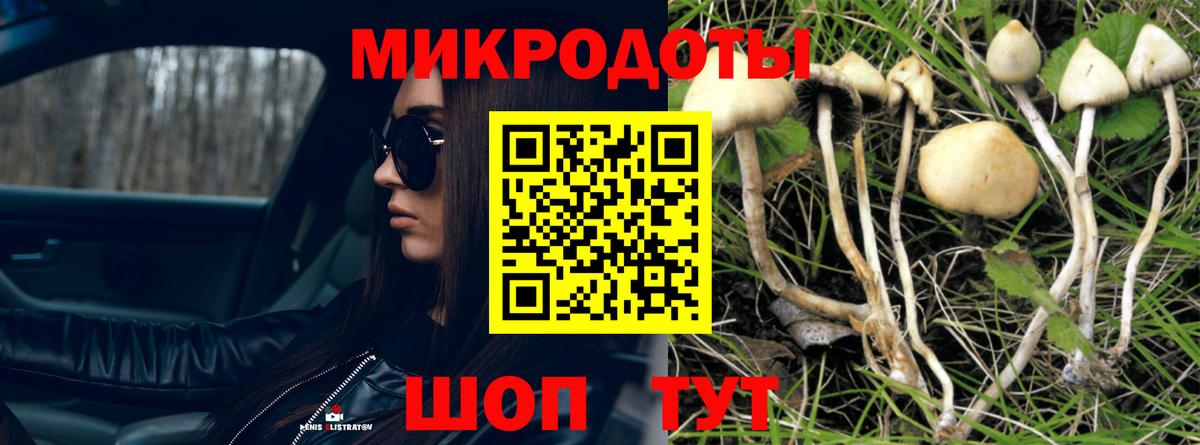 Псилоцибиновые грибы MAGIC MUSHROOMS  Вход с VPN  Карачаевск 