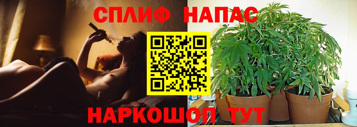 Каннабис ГИДРОПОН  Бошки Шишки AK-47  Бошки Шишки ГИДРОПОН  Вход с VPN  Карачаевск 
